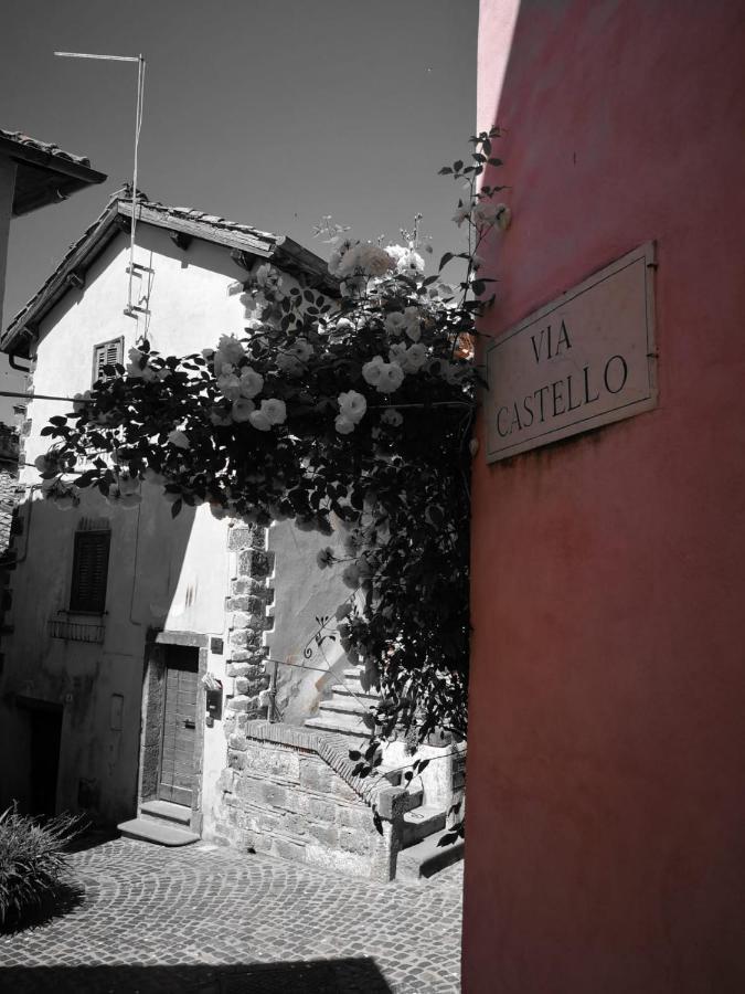 La Casetta Di Nonna Ida Trevignano Romano Exterior foto